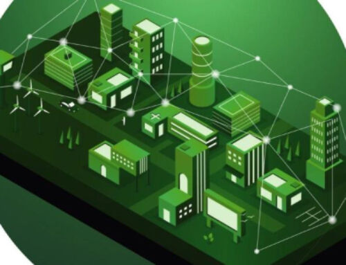 Navigating the carbon market, in conversation with ZERO13